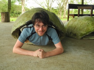 Ein leerer Schildkrötenpanzer dient als Fotomotiv.